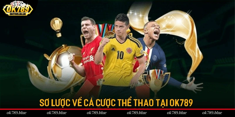 Sơ lược về cá cược thể thao tại OK789 