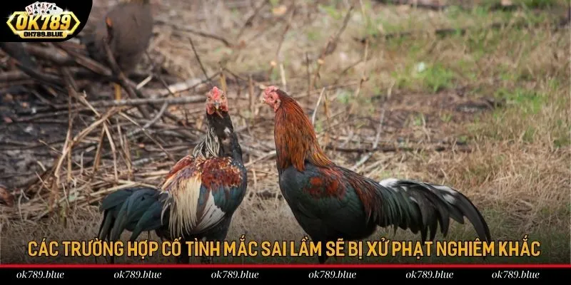 Các trường hợp cố tình mắc sai lầm sẽ bị xử phạt nghiêm khắc