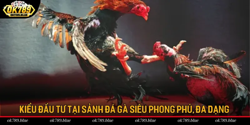 Kiểu đầu tư tại sảnh đá gà siêu phong phú, đa dạng