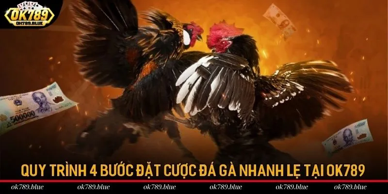 Quy trình 4 bước đặt cược đá gà nhanh lẹ tại OK789 Quy trình 4 bước đặt cược đá gà nhanh lẹ tại OK789