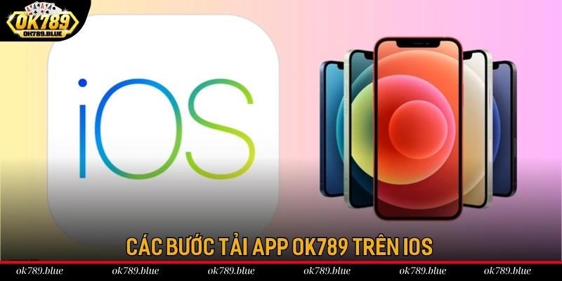 4 bước tải app OK789 cho IOS