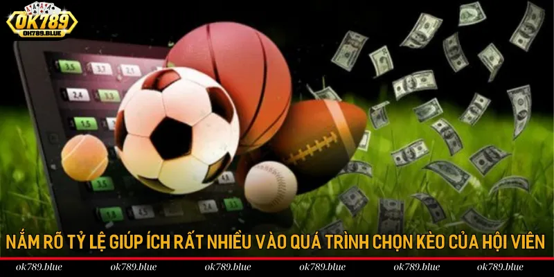 Nắm rõ tỷ lệ giúp ích rất nhiều vào quá trình chọn kèo của hội viên